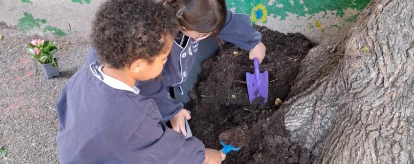 Fleurissement de la cour de l'école primaire