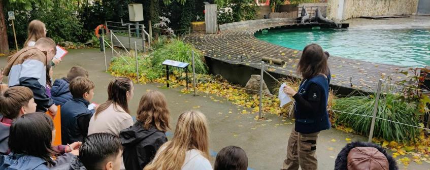 Au zoo d'Amiens