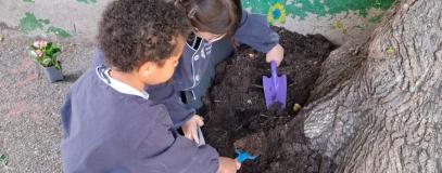 Fleurissement de la cour de l'école primaire
