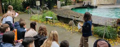 Au zoo d'Amiens