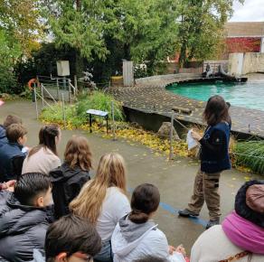 Au zoo d'Amiens